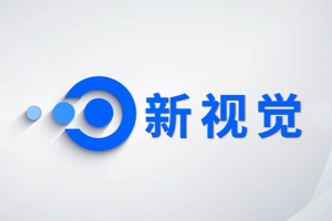 新视觉logo演绎